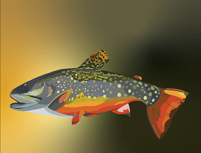 Brown Trout sticker design fly fishing graphic design sticker illustration trout