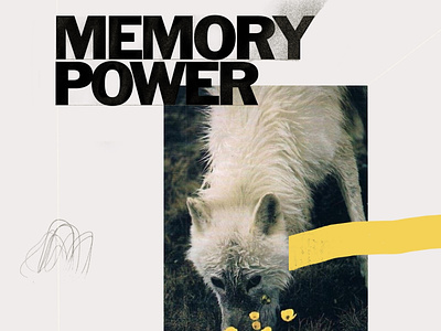 Memory Power design illustration typography