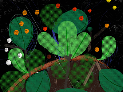 Potted Plant Sketch illustration