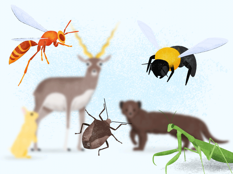 critter budz animal animals bee bugs creature deer focus gif google illustration mantis nature wasp