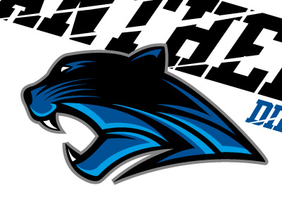 Clear Eyes, Full Hearts, CAN'T LOSE!!! dillon football friday night light logo panthers sports