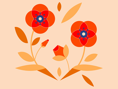 Les coquelicots colors flat floral flowershop illustration minimal minimalist nature pattern poppy vector