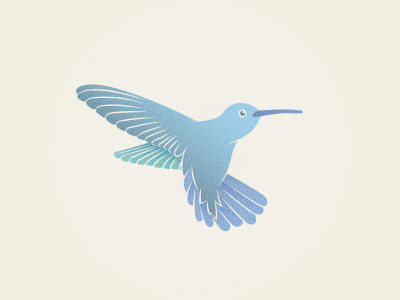 Hummingbird bird blue hummingbird illustration vector
