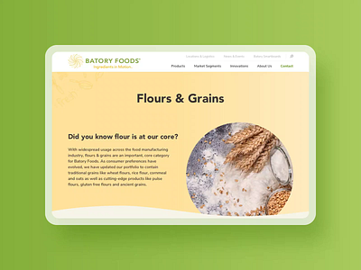 Batory Foods :: Product Category bright colors card style curved design food green iconography industrial ingredients products ui web web design website