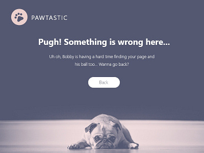 Error 404 adobe xd design contest paws ui challenge