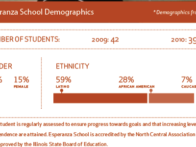 Demographics, round 2 annual report infographics nonprofit