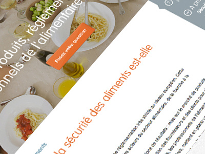 Food Expert blog call to action css3 cta flat food food metro metro ui ui css3 metro metro ui rounded sidebar ui white