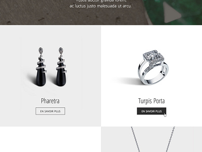 Soann website redesign bijoux css3 fashion geometric html5 jewel jewelry luxe luxury paris responsive webdesign
