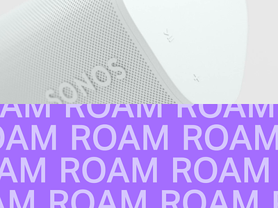 Sonos #3 2d branding loop roam sonos typography