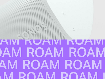 Sonos #3 2d branding loop roam sonos typography