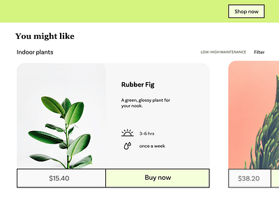 Plant recommendations page minimal product web web design