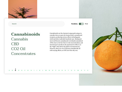 Cannabis glossary web page exploration cannabis cannabis design cbd clean ui design figmadesign glossary hemp minimalist typography ui vector web web design