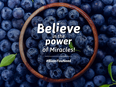 Blueberries 2020 behance believe branding cool dribbble graphic happiness typography
