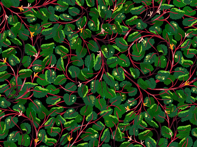 Creeping Charlie Pattern Swatch 101 florals art artwork creeping charlie design drawing floral flower flowers foliage garden gardening green greenery illustration lindsay nohl paper bicycle natural nature pattern pattern design plant plants surface design tendril vine weed