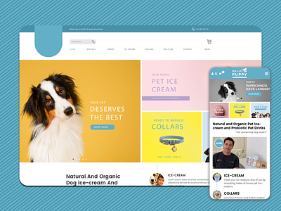 Online Pet Care Store - Responsive Website Design pet care petshop responsive design responsive website ui ux ui design web design website design
