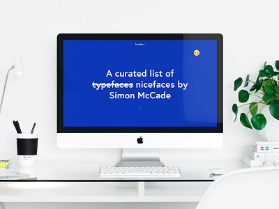 Niceface - Website Design fonts typography ui web design webflow website website design