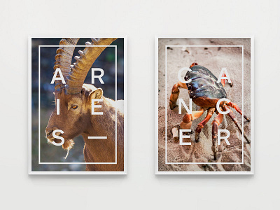 Posters - Star Signs (Aries & Cancer) animals art direction design graphic design posters print design prints star signs wallart