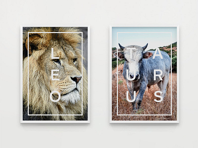 Posters - Star Signs (Leo & Taurus) animals art direction design graphic design posters print design prints star signs wallart