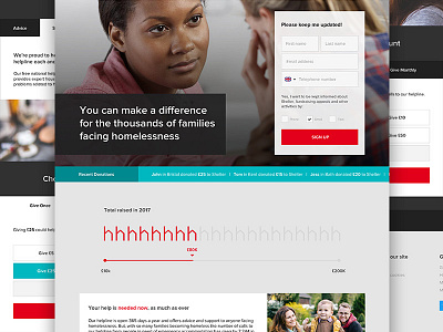 Charity Website Designs branding charity design pitch ui web web design website design