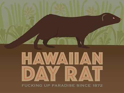 Hawaiian Day Rat hawaii mongoose rat
