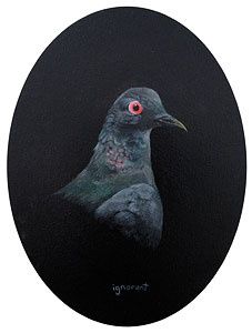 Passenger Pigeon bird dark pigeon red ruppel