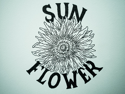sunflower lettering illustration calligraphy calligraphy font flower flower illustration illustration lettering letters sunflower type typeface typography