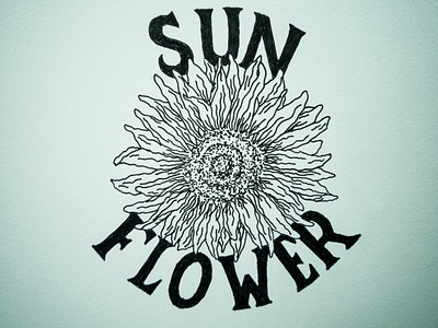 sunflower lettering illustration