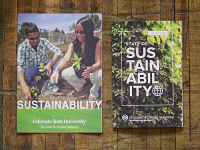 Sustainability Redesign brochure design graphic design redesign sustainability