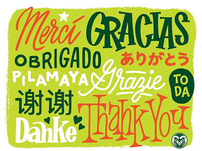 CSU Thank You Card card design graphic design handlettering print design