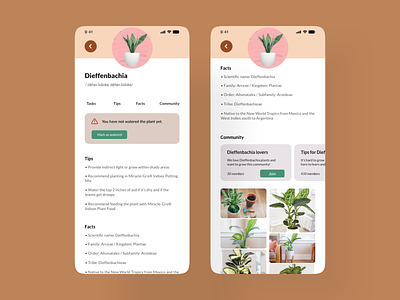 Plant Info. Page adobexd dailychallenge design information mobile plant info page plants ui ux xddailychallenge