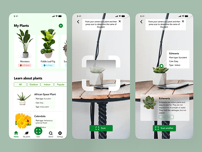Plant Info. App adobexd app dailyui design information mobile plant ui ux xddailychallenge