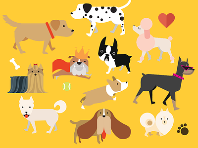 Lovely Dogs bulldog corgi cute dog graphic icon illustration pet poodle vector yorkshire terrier