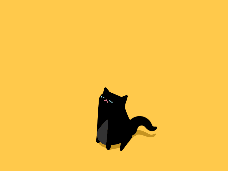 Scared Cat animation buck cat character design gif illustration lol lolcat motion