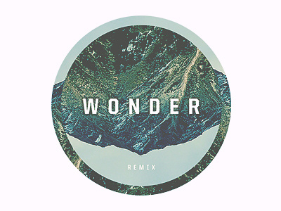 Wonder album art art boombox cartel conceptual art digital imagery nature remix texture type wonder