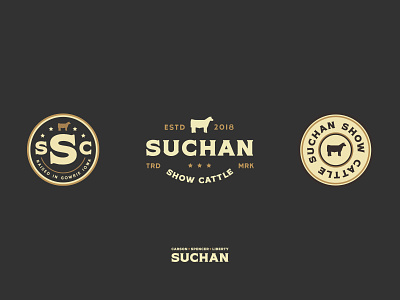 Suchan Show Cattle americana badge brand design brand identity branding cattle clean cows farm identity iowa logo mark parker peterson seal show cattle typography vector
