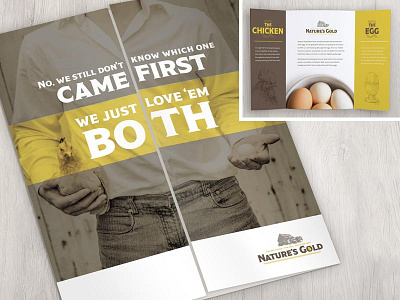 The Chicken or the Egg Brochure