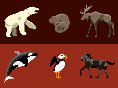 Animals Across Canada