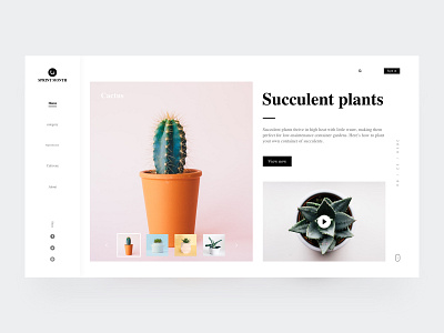 Succulent Plants-1 ps，sketch ui web