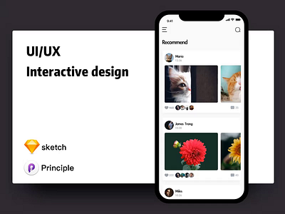 UI/UX Interactive design principle ps，sketch ui deisgn ux design