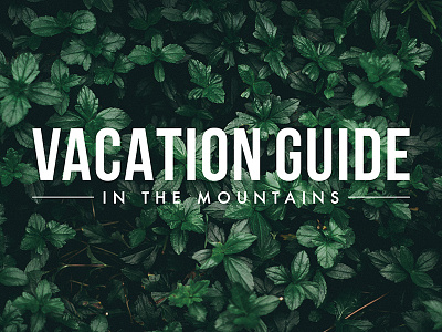 Vacation Guide Logo Design