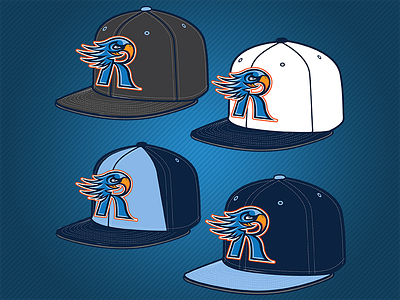 Rockford Riverhawks Hat Mock Up baseball bird branding hat hawk logo