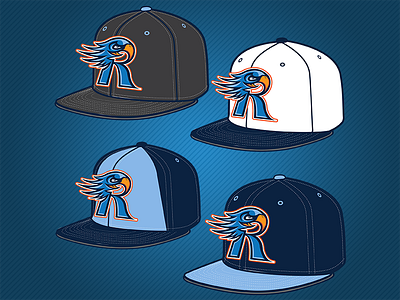 Rockford Riverhawks Hat Mock Up