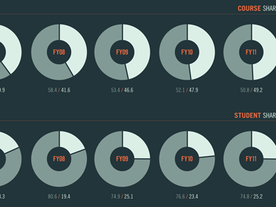 Annual Report Infographic