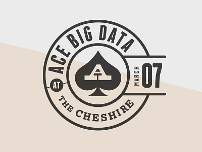 Ace Big Data ace data logo