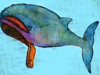 Whale animal color illustration water color whale