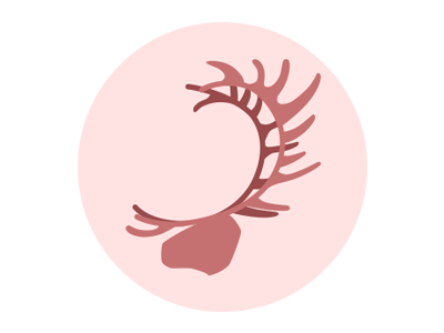 Antler Icon