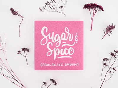 Sugar & Spice Procreate Brush brush calligraphy digital lettering procreate procreate brush procreate brushes