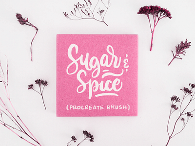 Sugar & Spice Procreate Brush