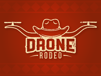 Drone Rodeo drone logo rodeo technology typography