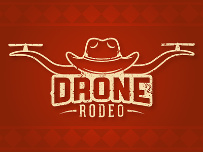 Drone Rodeo